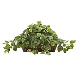 Nearly Natural Pothos with Ledge Basket, Green by Nearly Natural