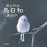 ほんわか鳥日和