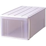 天馬 たっぷり収納ケースワイド 74L深型 幅44×奥行74×高さ30cm