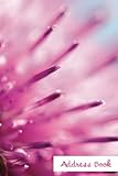 Address Book.: (Flower Edition Vol. 102)Glossy and Soft Cover, Large Print, Font, 6 X 9 for Contacts, Addresses, Phone Numbers, Emails, Birthday and More.