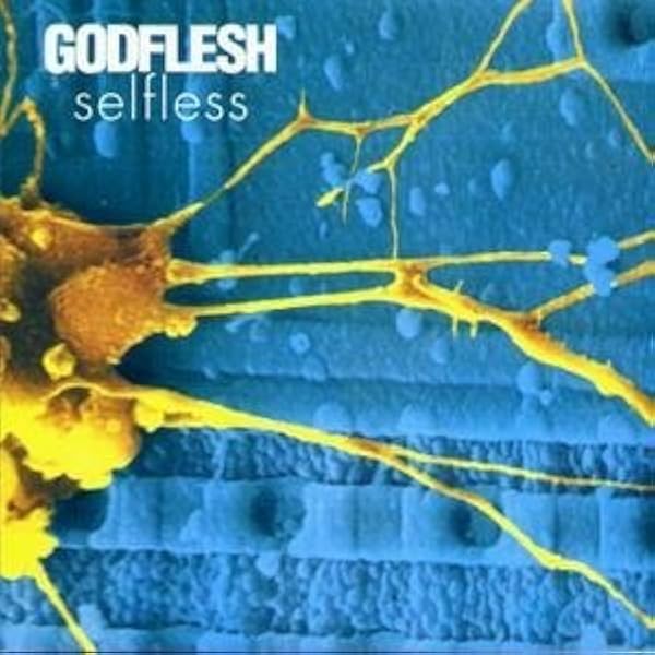 [新品/限定500オレンジ盤] Godflesh - Streetcleaner 新品/限定500オレンジ盤] Godflesh - Streetcleaner