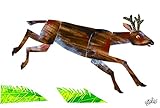 Marmont Hill Eric Carleの赤ちゃんBear Mule Deerキャンバス壁アート 60 by 40-Inch MH-ECARL-02-C-60