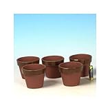 国産素焼き深鉢2.5号　５個セット