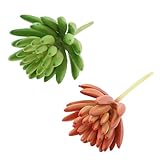 Perfk ２つ　人工花　実生植物　現実的　美しい　生き生き　人工植物　写真小道具