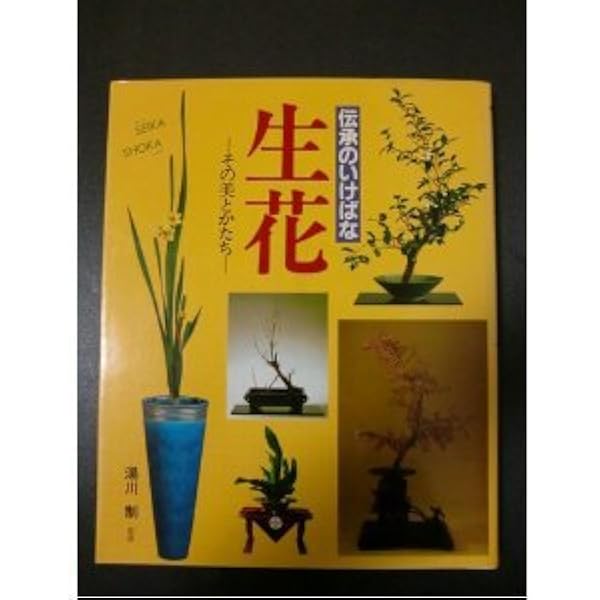 新編 未生流いけばな教本 | 肥原 碩甫 |本 | 通販 | Amazon