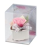 Paseo クリアケース入り プリザーブドフラワー カラフルスウィートS ピンク 8×8×H10cm M-10B