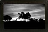 最初ライトSunrise by Harold Silverman – 木&古いフェンス 16"x27" 74741-42-4FUSA