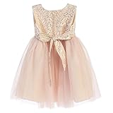 Sweet Kids Baby Girls Blush Ornateジャカードチュールフラワーガールドレス6 – 24 m カラー: ピンク