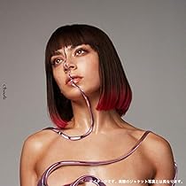 チャーリー 41GsWmmz7VL._AC_UL210_SR210,