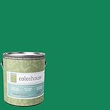 Inspired Eggshell Interior Paint, Thrive .06, Gallon [並行輸入品]