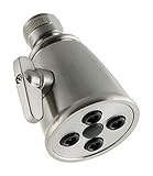 LDR 520 1400BN Adjustable Spray Showerhead, Brushed Nickel [並行輸入品]