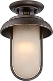 Nuvo Lighting 62/673 Tulsa - LED Outdoor Flush Fixture with Satin Amber Glass [並行輸入品]