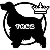 14色 愛犬名 or 犬種名入り イングリッシュコッカースパニエル ステッカー DOG ON BOARD【DOG IN CAR 愛犬 ワンコ 名入れ ネーム ドッグ 犬 カーサイン TREZ 名前】 