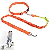 ショルダーリード 多機能 ハンズフリー リード 犬用 肩掛け 斜め掛け ウエスト 腰ベルト 伸縮 ランニングリード 散歩 ランニング ジョギング 腰巻け 便利 ななめ掛け (オレンジ)
