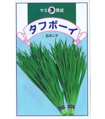 Amazon.co.jp: ねぎにら（ネギニラ・なかみどり） 9cmポット苗 48