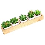 YUMU（御目)ZAKKA木質多機能な多肉植物収納ボックス 鉢JM1004-02