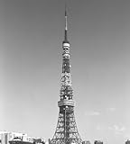 �x�����_�̉���