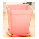 2 個入りミニ プラスチック植木鉢トレイ(ピンク)