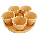 1.5号小さな素焼き鉢5個と受け皿セット 植木鉢 陶器 国産 su1.5＋sara