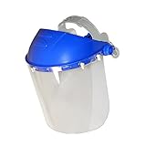 ArcOne BG2-2CL Browguard with Visor [並行輸入品]