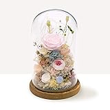 プリザーブドフラワー (ピンク)　ガラスドーム　ローズ　レッド　ホワイト　ピンク　ブルー　プロポーズ　母の日　お花　枯れない花　ドライフラワ