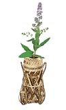 竹製・掛花籠「蝉籠　虎斑竹」