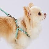 ペティオ (Petio)犬用引き紐 フラッシュソフトリード SS ブルー