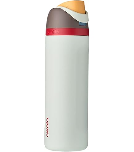 Owala FreeSip Insulated Stainless Steel Water Bottle with