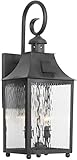 Elk 5751-C 9 by 23-Inch Monterey Water Glass 2-Light Outdoor Wall Lantern, Charcoal Finish [並行輸入品]