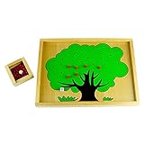 モンテッソーリ教育　りんごの木　木製知育玩具　おもちゃ　受験　幼稚園　保育園　英才教育　教具