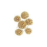 ~Coco Heart~ クリスマスに　アンバーバーム　ゴールド　10個　（X'mas　クリスマス　木の実・ドライフラワー）