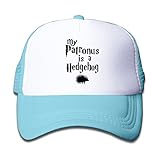 キッズ メッシュキャップ 通気性 今季最新 ダンスの帽子 レジャー・キャップ ヘッジホッグ 針鼠 ハリネズミ 紫外線防止 帽子 カジュアル ストーリート系ライトブルー プリント付き 無地