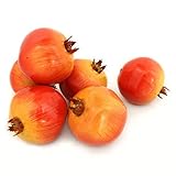 ALEKO ® 6 afpom装飾リアルな人工フルーツ – Package of 6 Pomegranates