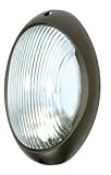 Nuvo Lighting 60/527 Bulkhead 1-Light Large Oval 60W A19, Architectual Bronze [並行輸入品]