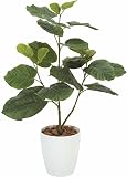 光触媒 人工観葉植物 光の楽園 ウンベラータ 211A100