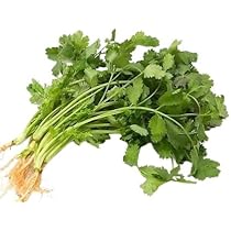 期間限定　パクチー　香菜　新鮮野菜　業務用　大量　卸し　10kg クール便 パクチー 香菜 100g : おいしい食品館 - 通販 - Yahoo!ショッピング
