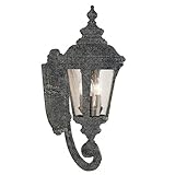 Transglobe Lighting 5042 SWI Outdoor Wall Light with Seeded Glass Shades, Swedish Iron Finished [並行輸