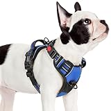 [最新型犬ハーネス]rabbitgoo 犬 ハーネス 犬用胴輪 小型犬/中型犬/大型犬ハーネス 引っ張り防止 サイズ調整可能 アタマを通さず 夜間反射材 抜けない 通気性 咳き込み防止 歩行補助ハーネス 老犬 介護用品 散歩 しつけ用 ソフト 抜けない 通気性 簡単着脱 おしゃれ 安全 しつけ用 訓練 歩行補助 散歩(ブルー S）