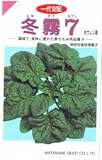 【種子】ほうれんそう 冬霧７ 約3,000粒