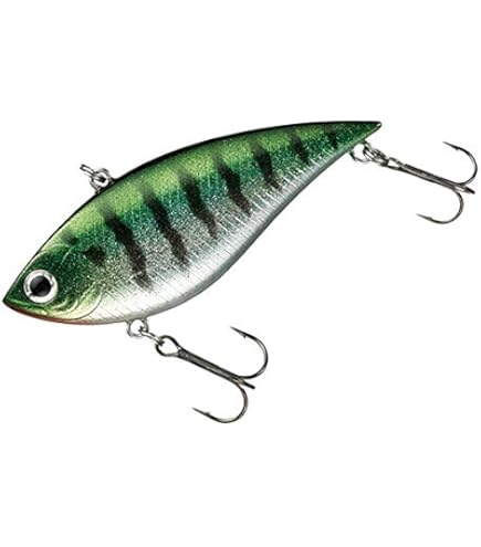 ダイワ TD バイブレーション ＆ TDクランク 限定生産 計13個セット Amazon.co.jp: ダイワ(DAIWA) バス ルアー TDバイブレーション