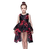 Ochine おしゃれ 上質なオーガンジ 女の子ワンピース 子供ドレス 鮮やかな花プリントドレス　ファション　お姫さまノースリーブ