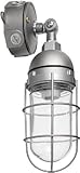 RAB VA100P Vapor Proof Adjustable Outdoor Pendant, Natural [並行輸入品]