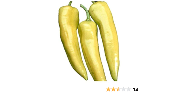 Amazon 黄色バナナピーマン 種 4粒 野菜