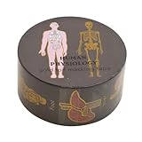 STUDY HOLIC 金箔マスキングテープ【人類生物学】マステ デコレーション かわいい ST-2