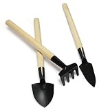 FACILLA? 3pcs Mini Garden Gardening Plant Tools Set with Wooden Handle Shovel Rake Spade [並行輸入品]