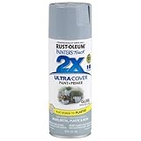 Rust-Oleum 249089 Painter's Touch Multi Purpose Spray Paint, 12-Ounce, Winter Gray - 6 Pack [並行輸入品]