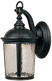 Designers Fountain LED21321-ABP Winston Wall Lanterns, Aged Bronze Patina [並行輸入品]