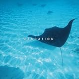 �}�C���h�E�g�����L���e�B�[�E�V���[�Y �w�̓A�b�v�kGRADATION�l