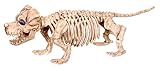High Quality Skeleton Dog - Puppy Bonez
