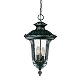 Acclaim 3866BK Augusta Collection 3-Light Outdoor Light Fixture Hanging Lantern, Matte Black [並行輸入品]